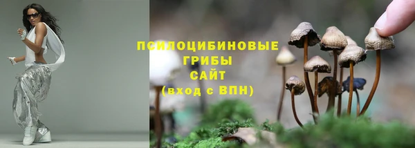 мет Армянск