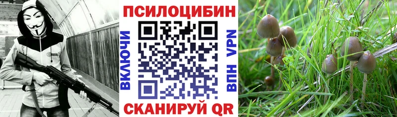 Псилоцибиновые грибы ЛСД  Орёл 